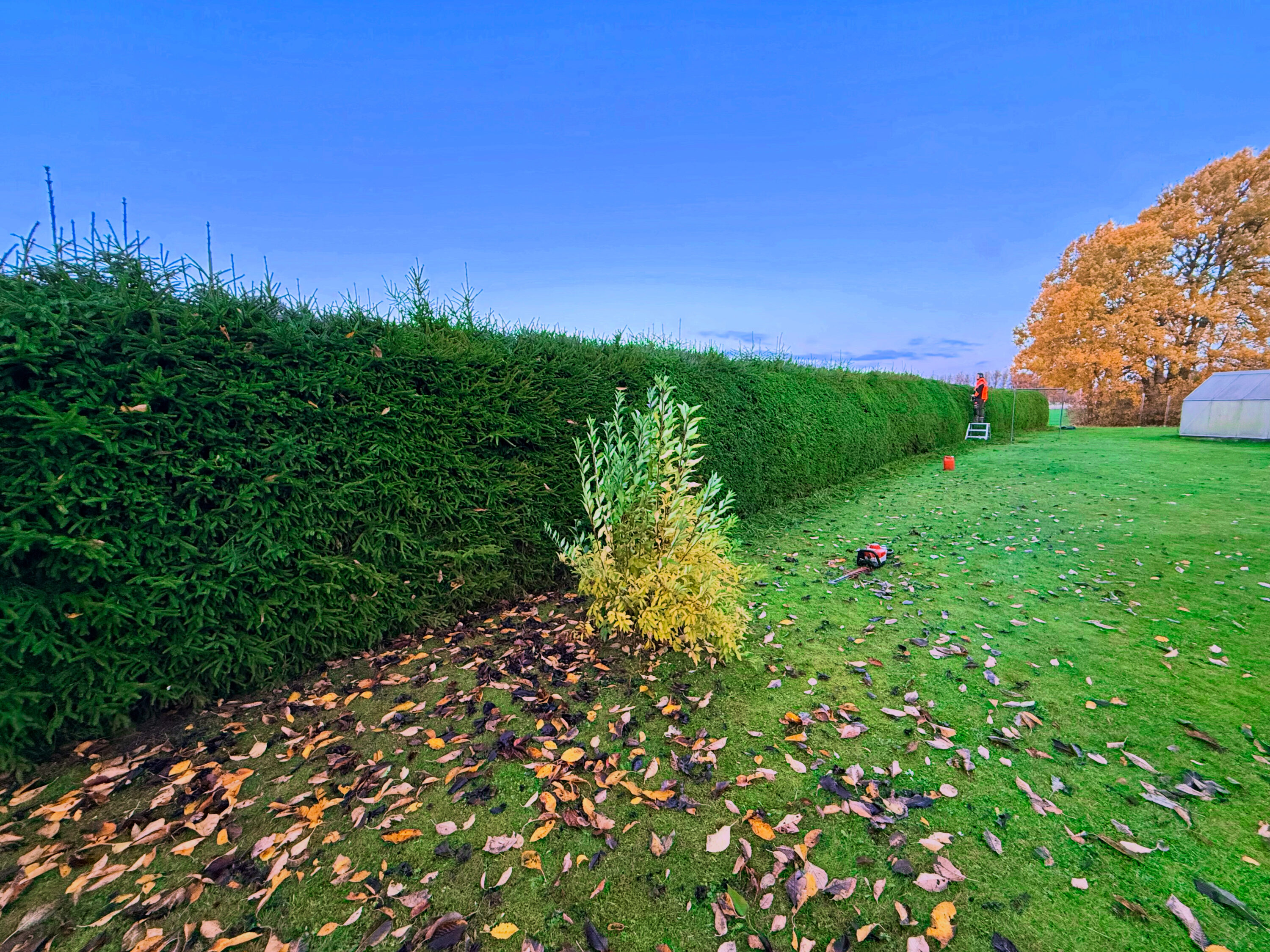 5029409C-2338-462E-A2D5-D0595F58C443